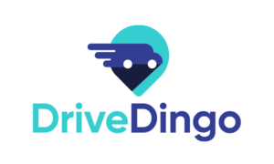 drivedingo